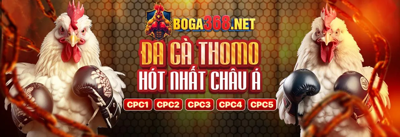 Đá gà J88VIP0